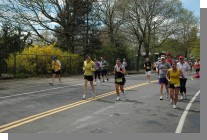 DSC_7652.jpg  (102.0 Kb)