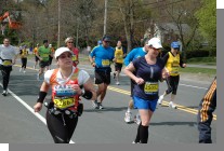 DSC_7800.jpg  (91.9 Kb)