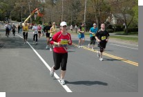 DSC_7932.jpg  (81.3 Kb)