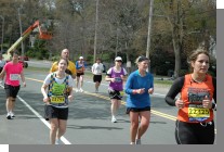 DSC_8117.jpg  (85.1 Kb)