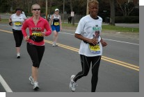 DSC_8261.jpg  (62.3 Kb)