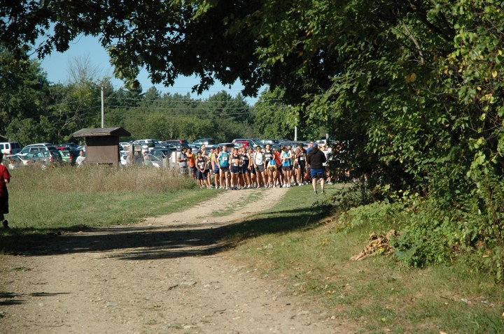 DSC_3699.jpg  (139.2 Kb)