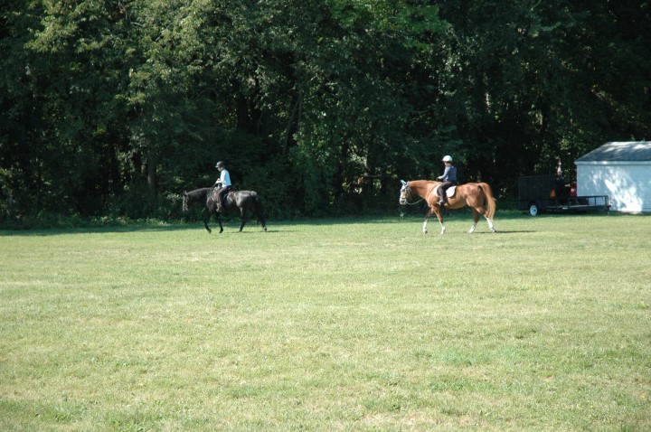 DSC_3923.jpg  (116.7 Kb)