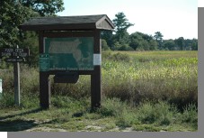 DSC_3694.jpg  (119.8 Kb)