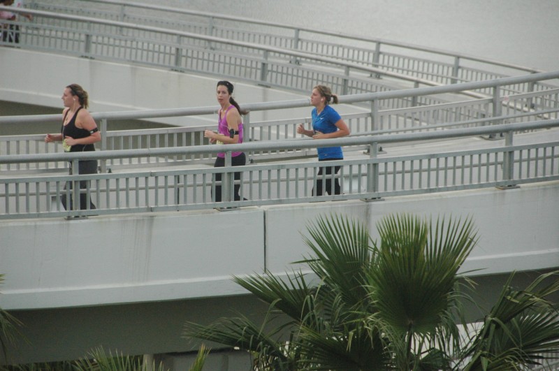 100123-569.jpg  (91.7 Kb)