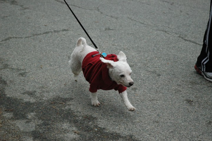 DSC_8093.jpg  (101.1 Kb)