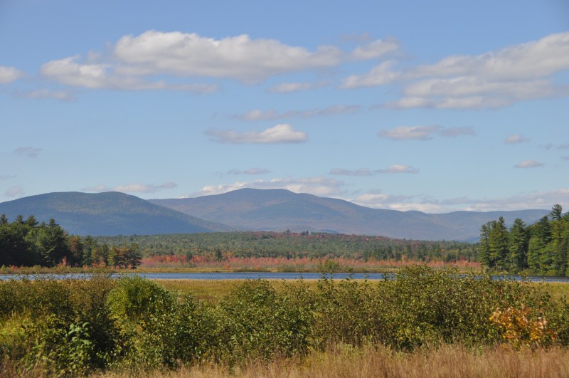 100925- 558.jpg  (93.8 Kb)