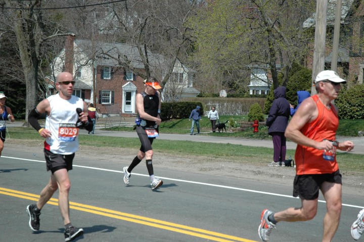 DSC_5596.jpg  (113.7 Kb)