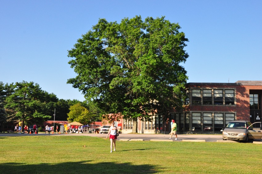 110730- 009.jpg  (156.0 Kb)