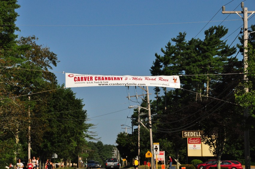 110730- 025.jpg  (146.2 Kb)