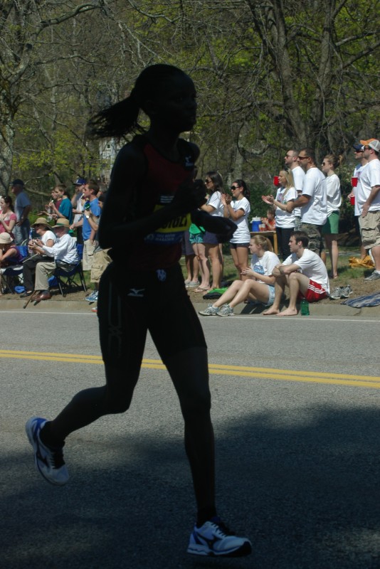IMGP4606.jpg  (112.4 Kb)