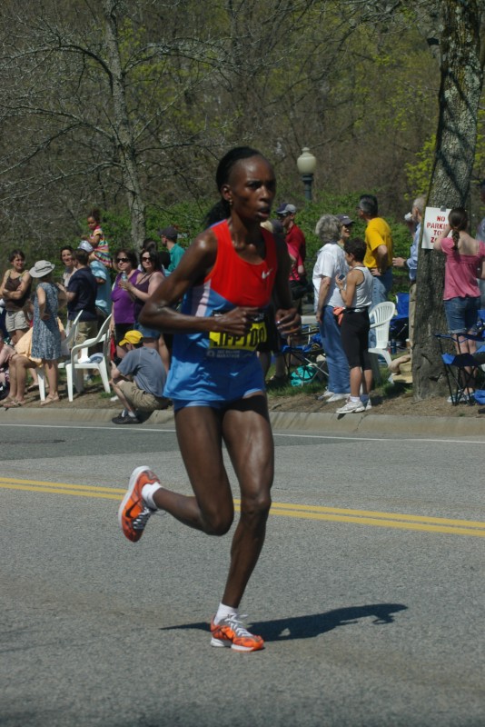 IMGP4609.jpg  (122.5 Kb)