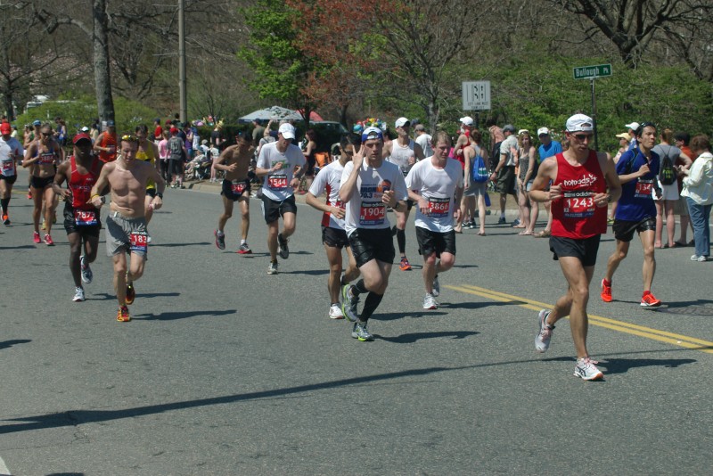 IMGP4833.jpg  (138.8 Kb)