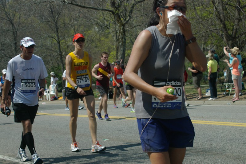 IMGP6291.jpg  (111.8 Kb)