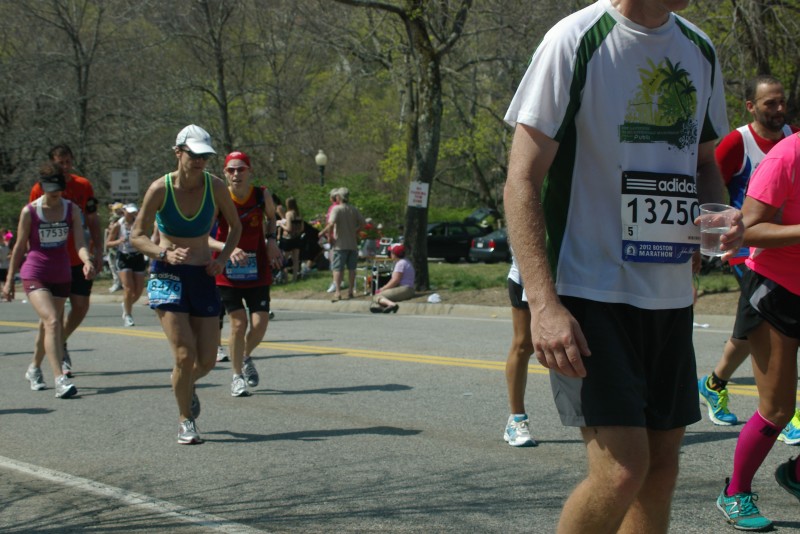 IMGP6564.jpg  (109.2 Kb)
