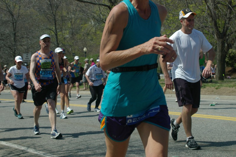 IMGP6578.jpg  (106.8 Kb)