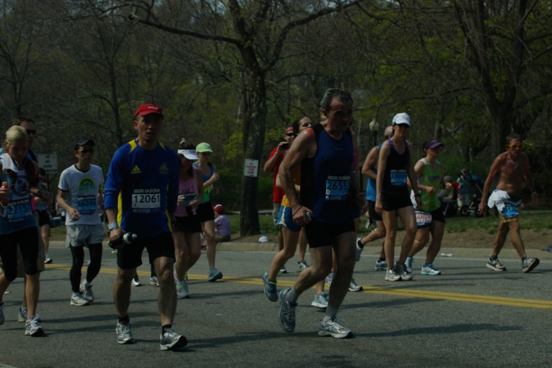 IMGP6733.jpg  (95.2 Kb)