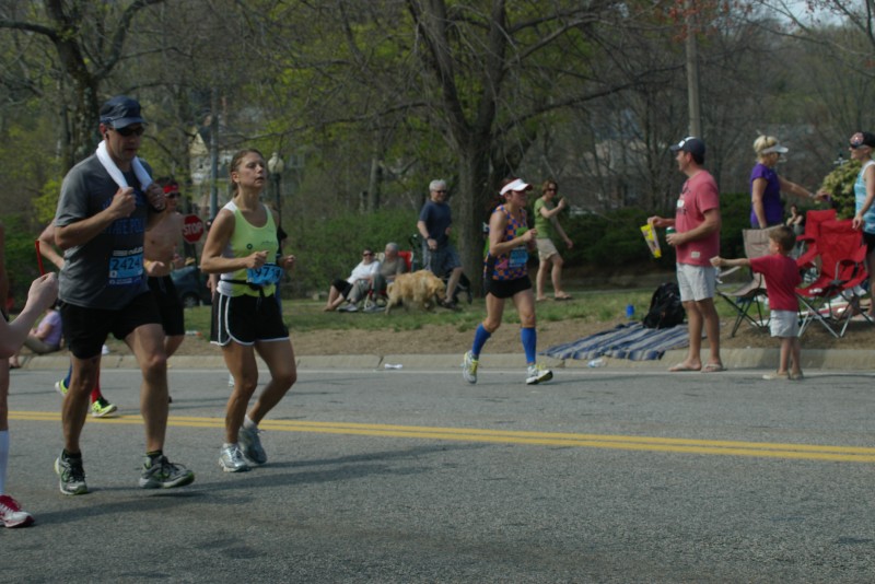 IMGP6785.jpg  (105.1 Kb)