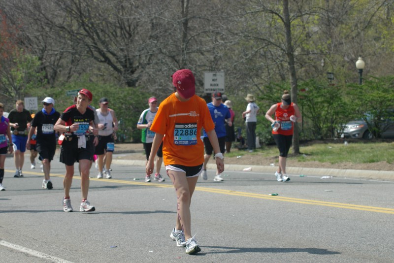 IMGP7324.jpg  (105.8 Kb)