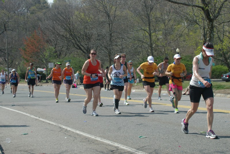 IMGP7348.jpg  (133.8 Kb)