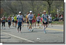 IMGP7239.jpg  (138.2 Kb)