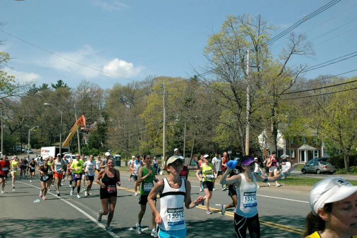 DSC_4564.jpg  (113.5 Kb)