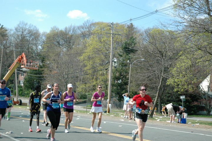 DSC_8546.jpg  (112.9 Kb)
