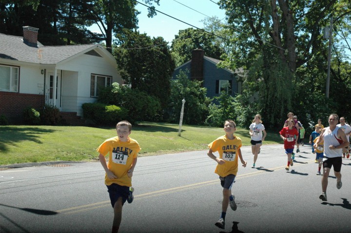 DSC_2612.jpg  (113.7 Kb)