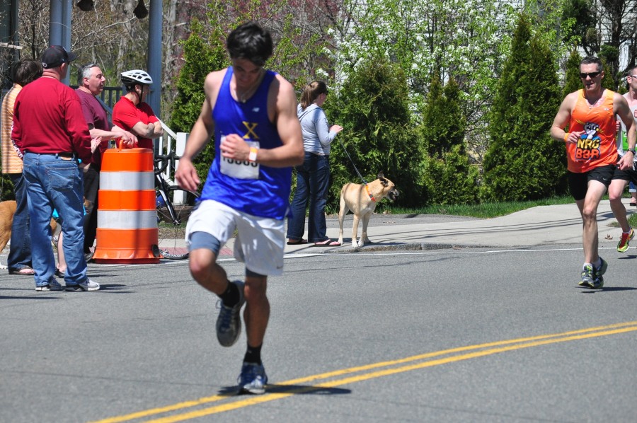 130428- 300.jpg  (184.6 Kb)