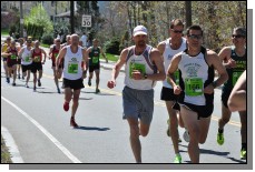 130428- 013.jpg  (163.9 Kb)