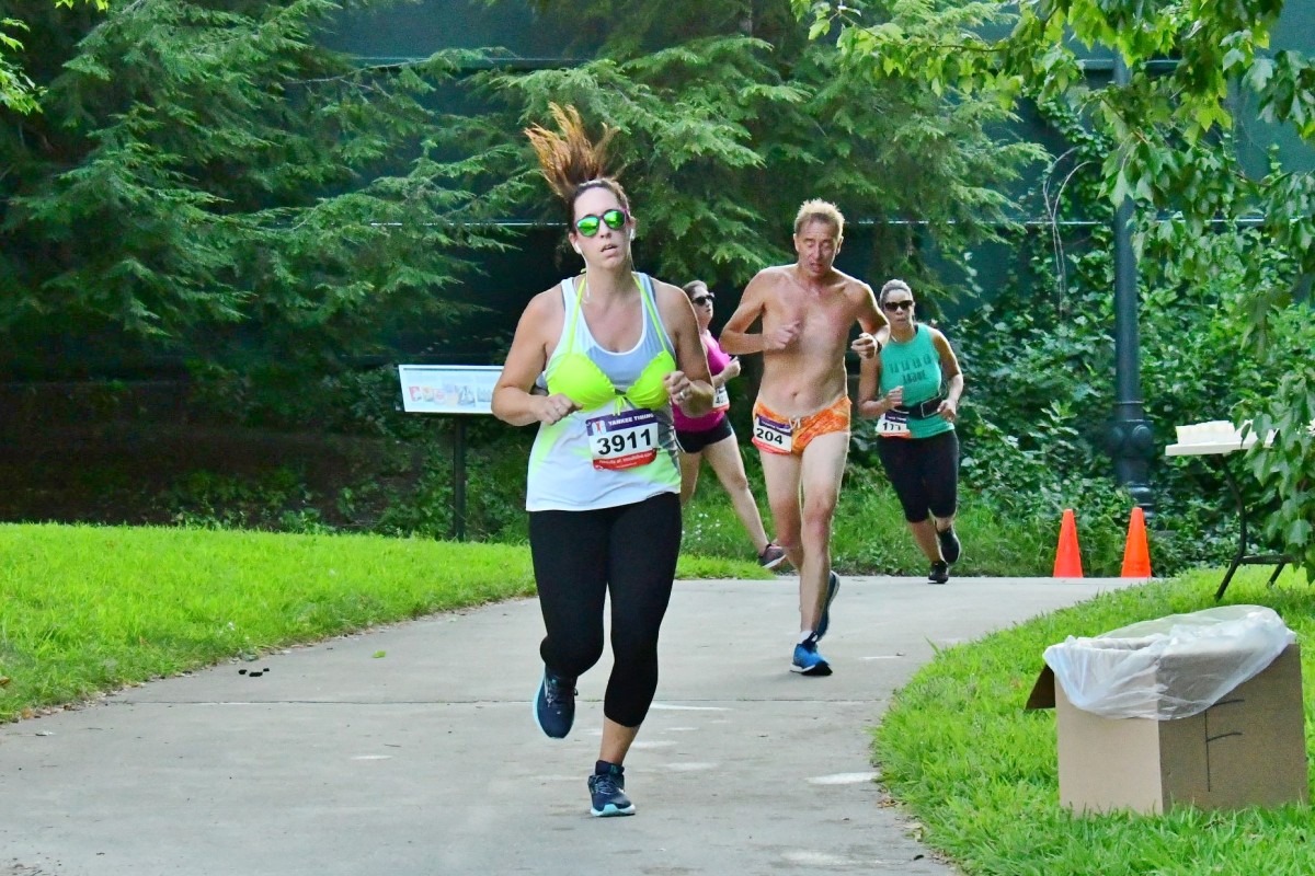 190806 - 535.jpg  (284.5 Kb)