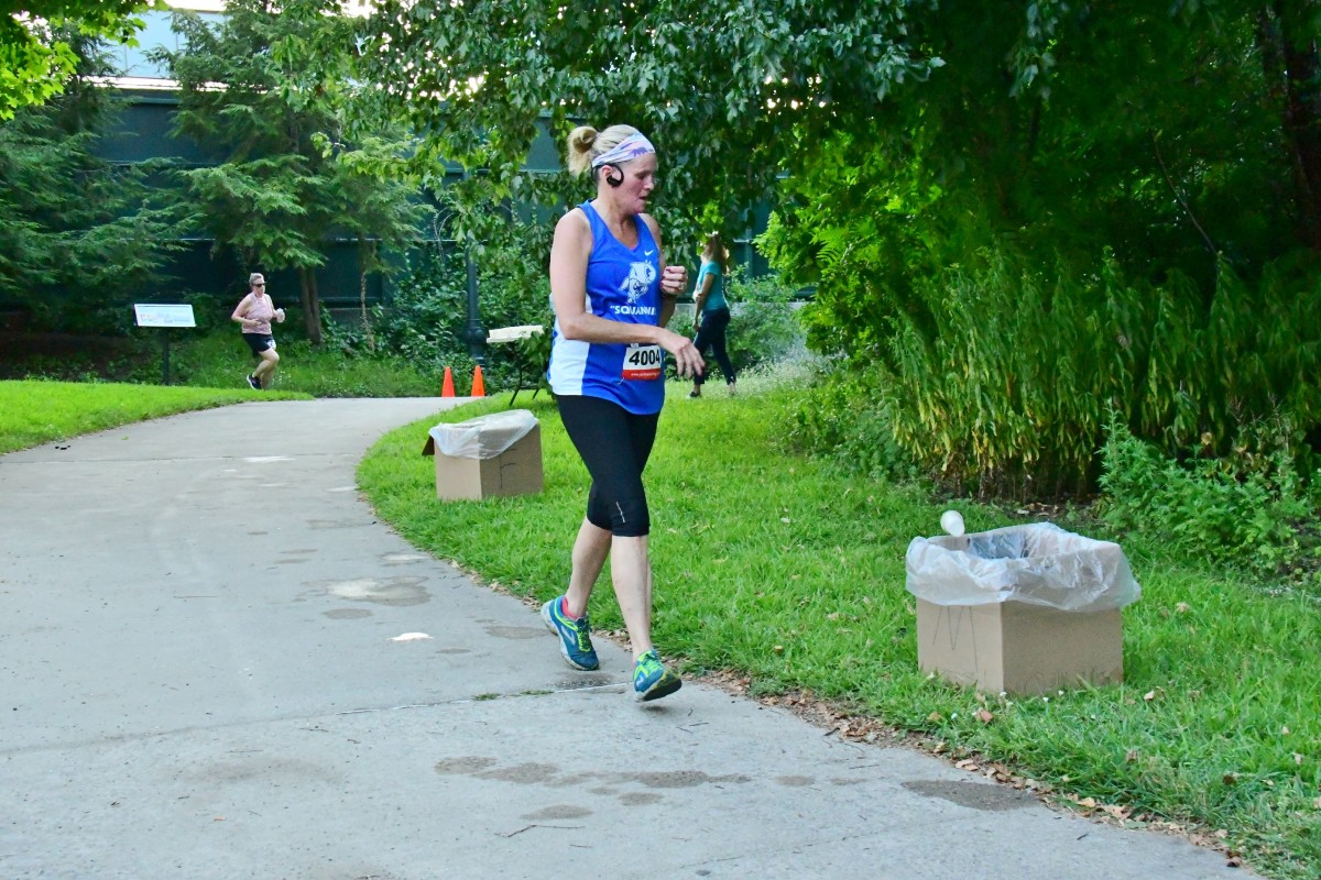 190806 - 615.jpg  (297.5 Kb)