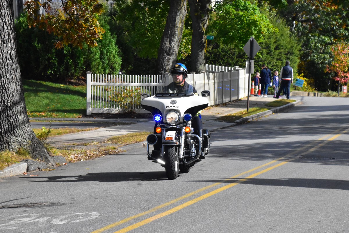 191020 - 017.jpg  (315.5 Kb)