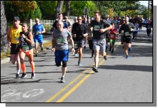 191020 - 048.jpg  (340.6 Kb)