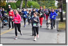 191020 - 138.jpg  (328.7 Kb)