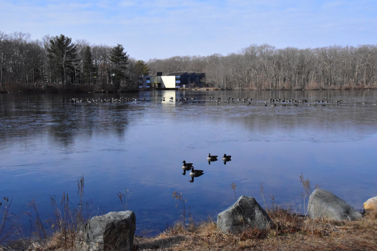 200209 - 001.jpg  (200.6 Kb)