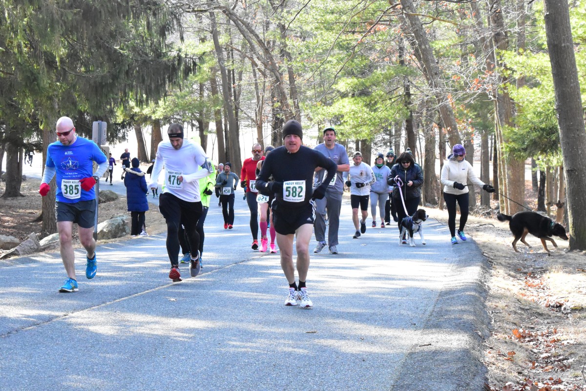 200209 - 036.jpg  (377.7 Kb)