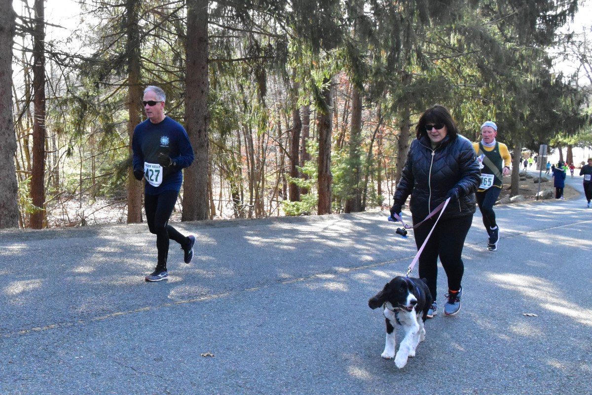 200209 - 053.jpg  (362.7 Kb)