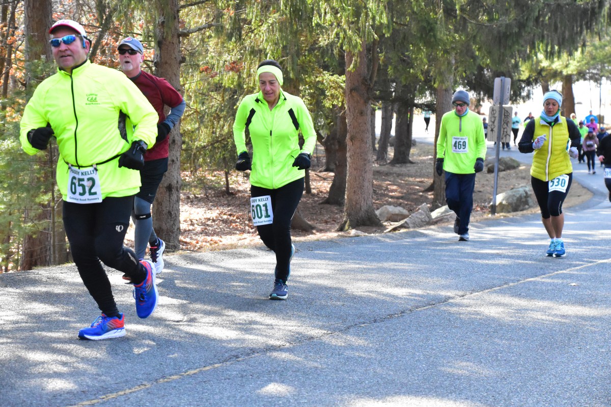 200209 - 124.jpg  (335.5 Kb)