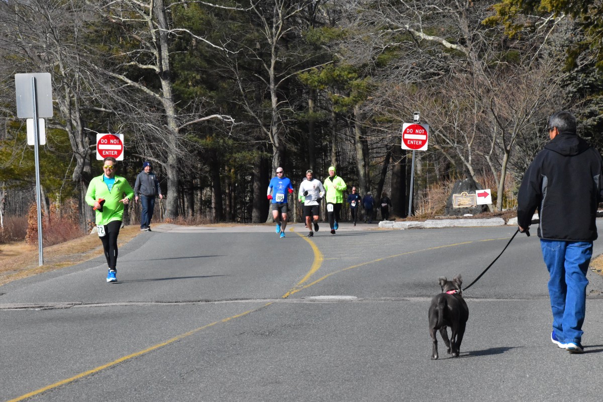 200209 - 322.jpg  (325.5 Kb)