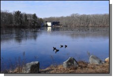 200209 - 001.jpg  (200.6 Kb)