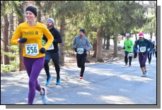 200209 - 048.jpg  (336.0 Kb)