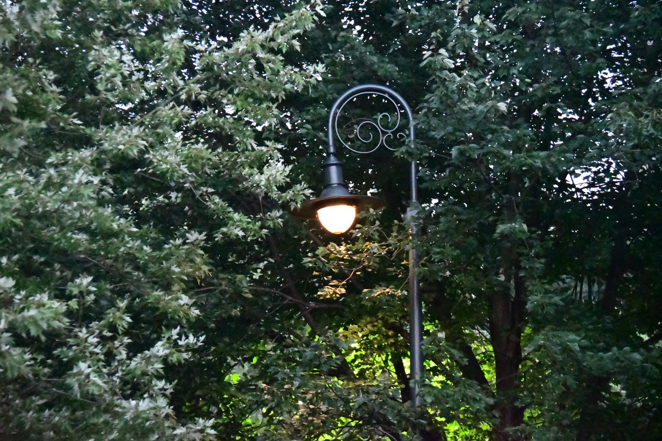 210824 - 318.jpg  (416.1 Kb)