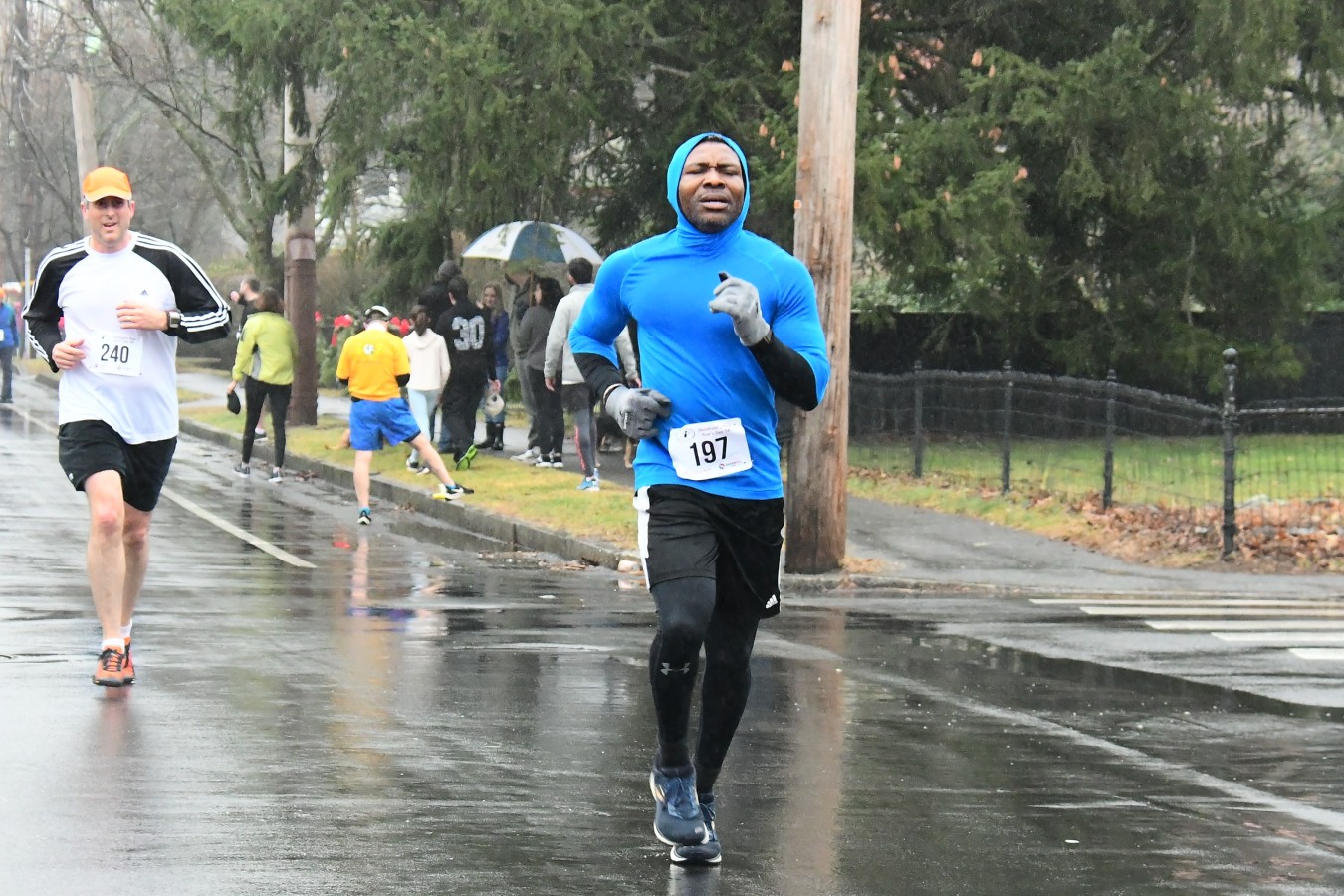 220101 - 386.jpg  (313.7 Kb)