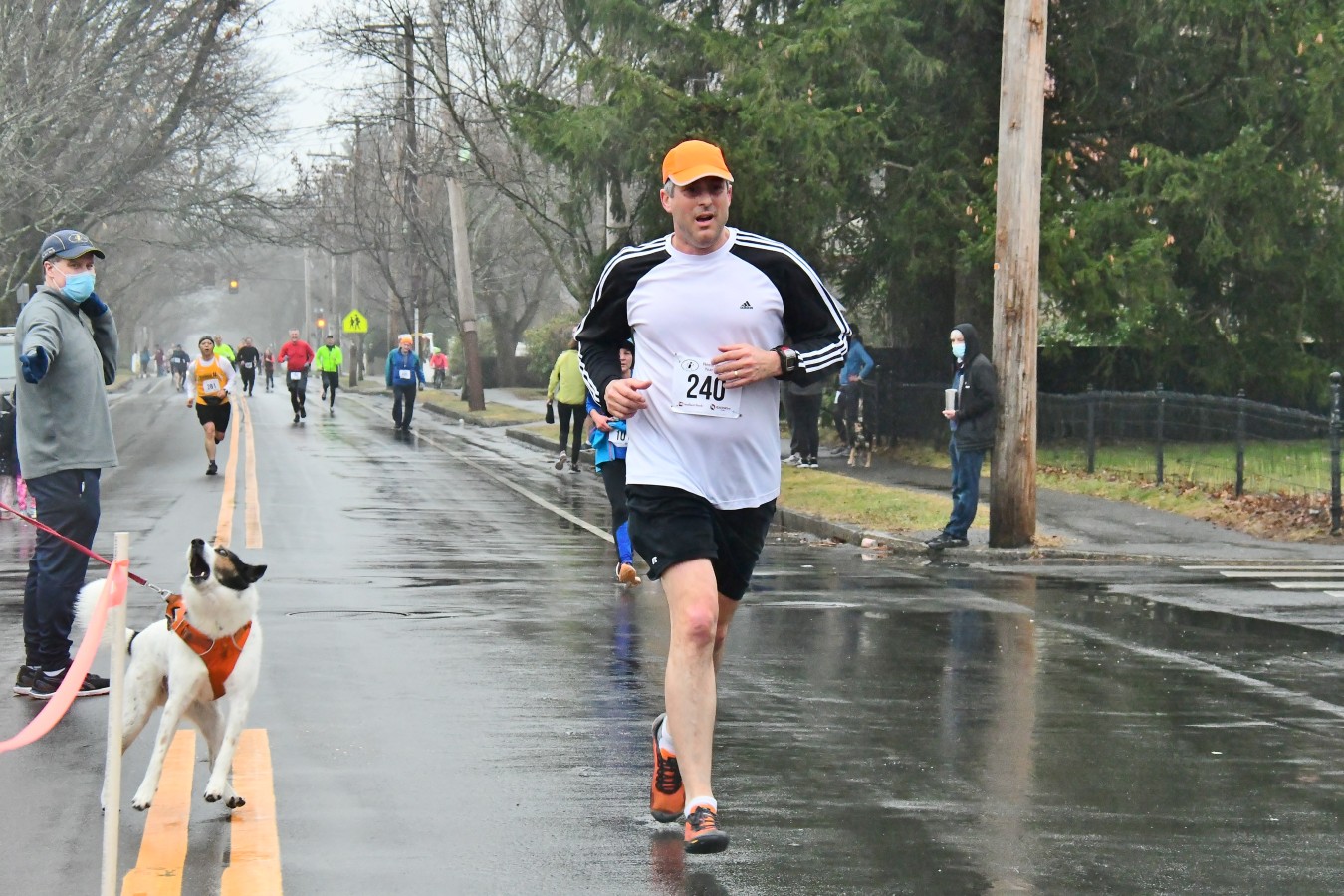 220101 - 387.jpg  (319.8 Kb)