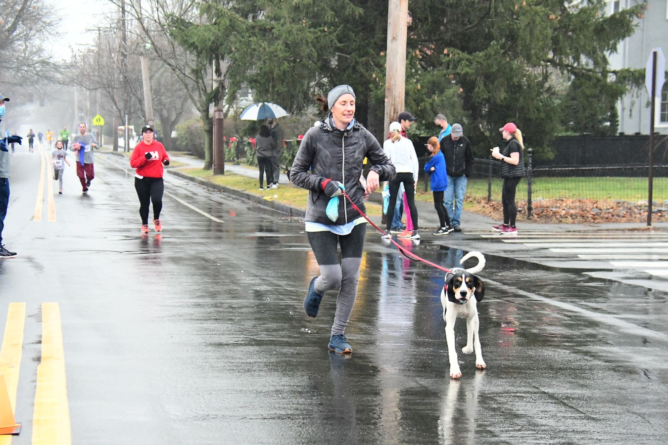 220101 - 507.jpg  (345.4 Kb)