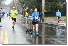 220101 - 373.jpg  (337.2 Kb)