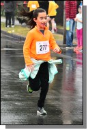 220101 - 505.jpg  (154.1 Kb)