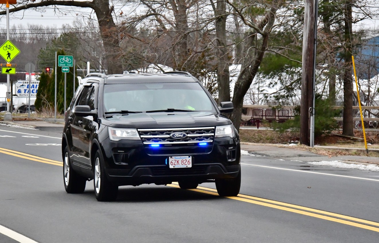 DSC_3043.jpg  (319.2 Kb)