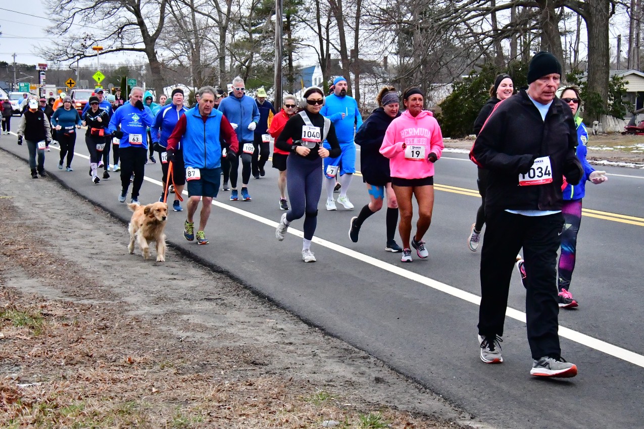 DSC_3104.jpg  (414.0 Kb)